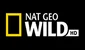 Nat Geo WILD HD tv online free